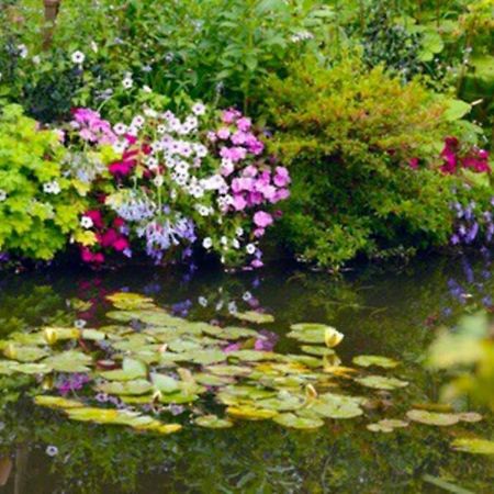 Le Clos De L'Eglise - Blanche Giverny Dış mekan fotoğraf